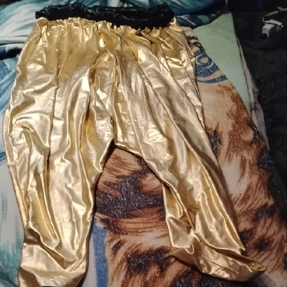 Men's XL Shiny Gold MC Hammer Harem Pants Funky Cool Fun